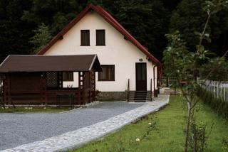 Gold House - Zărneşti - 9