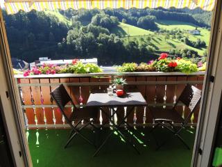 Gästehaus und Ferienwohnung Bächle - Bad Peterstal-Griesbach - 3