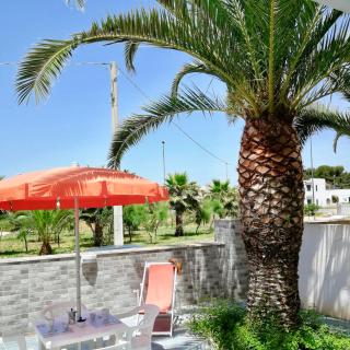 Residence Le Palme - 4