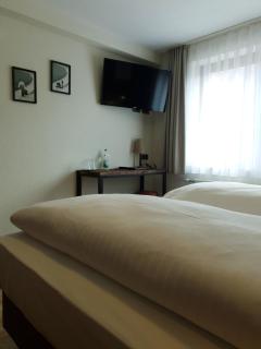 Hotel Gasthof zum Schwan - 6