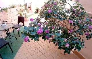 Be Inn - Salerno - 4
