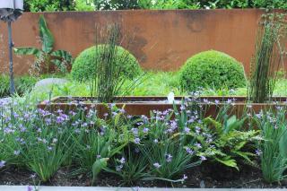 Bed and garden - Knokke-Heist - 2