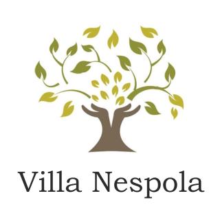 Villa Nespola Penthouse - Cavtat - 8