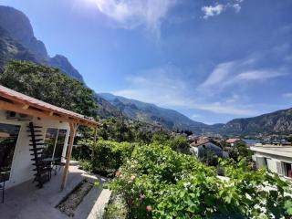 Apartments Dakovic - Kotor - 1