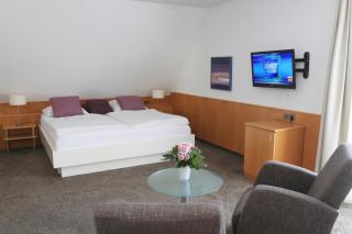 Landidyll Hotel Lamm - Vaihingen an der Enz - 9