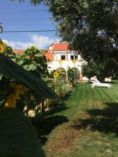 Quinta Ribeira do Labrador - Lisbon West Wine Route - Alenquer - 2