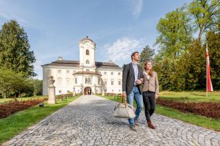 Schlosshotel Rosenau Superior - Schloss Rosenau - 7