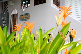 King Sling Room, Between Pool And Jacuzzi - Enjoy! - 7