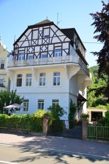 Villa Evin - Kamp-Bornhofen - 9