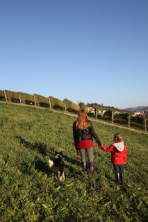 LE SETTE VIE HOLIDAY HOMES - Monforte dʼAlba - 3