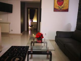 Apartament Lenus'k - Bucharest - 9