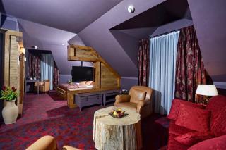 Hotel Żubrówka Spa & Wellness - Białowieża - 5