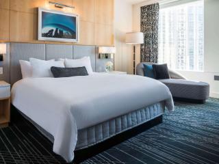 Sofitel Chicago Magnificent Mile - 3