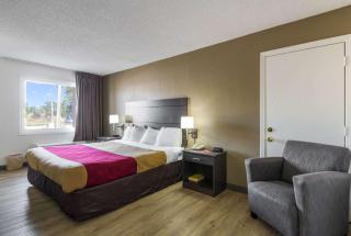 Econo Lodge Little Creek - 8