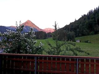 Haus Stabentheiner - Au im Bregenzerwald - 6
