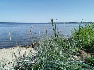 Pokoje U Wojtka Z Widokiem Na Zatokę - 2