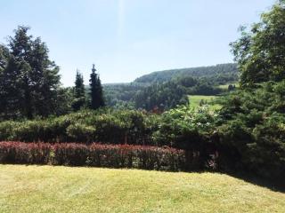 Ferienwohnung (70 qm) mit fantastischem Ausblick - Detmold - 3