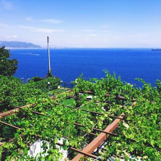 Il Nido del Gabbiano - Vietri sul Mare - 5