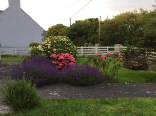 Kings Accommodation - 4