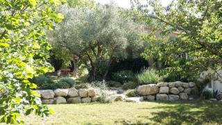 VILLA GABRIEL, villa entière en pleine nature, wifi - Buis-les-Baronnies - 7