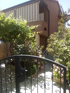 Apartment Flores centre - Novalja - 0