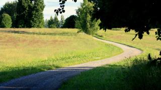 Pedaja Puhketalu - 2