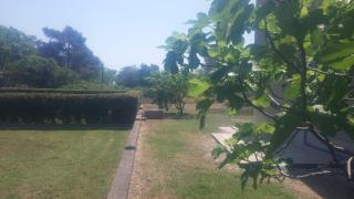Holiday House Marija - Nin - 4