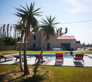 Mas Puig - Saint-Genis-des-Fontaines - 0