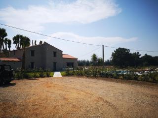 Mas Puig - 6