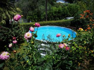 Parte di casa con giardino e piscina - Pietrasanta - 8