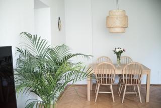 TS City Centre Apartment - Stettin - 0