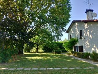 DUE QUERCE - Conscio - 9