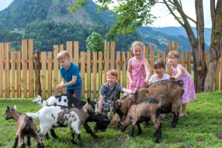 Lerchs Landhotel - Sankt Johann im Pongau - 6