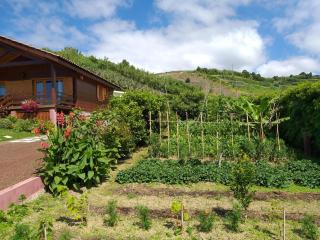 Quinta da Pavoa - Cottage House - Vila Franca do Campo - 4
