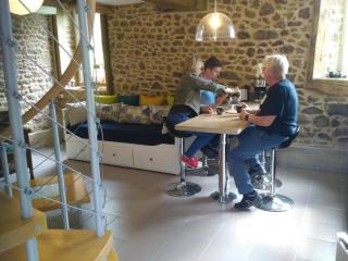 Gîte Le Valet, T2 classé 3 étoiles, entre Rennes et Saint-Malo - La Chapelle-aux-Filzméens - 9