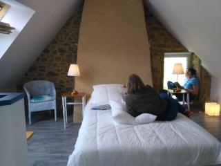 Gîte Le Valet, T2 classé 3 étoiles, entre Rennes et Saint-Malo - La Chapelle-aux-Filzméens - 4