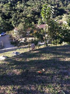 Meu cantinho na serra - Teresópolis - 6