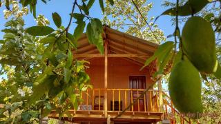 Sigiriya Free View Tree House & Villa - Sigiriya - 3