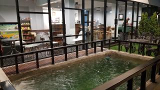 บ้านเลขที่ 3 - Phitsanulok - 1