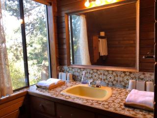 Jason House - Immaculate Suites in a Quiet Seaside Neighbourhood near UVIC - Victoria - 3