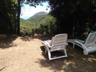 d17 studio pietra - 9