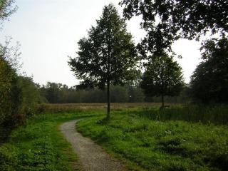 Ferienwohnung Kaplan - Bad Zwischenahn - 7