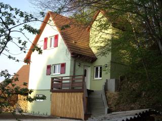 Gite de la Lisière du Bois - Ueberstrass - 8