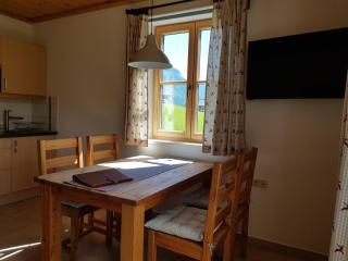 Appartements gosaukamm.com - Gosau - 8