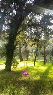 Casina nel Salento - 3