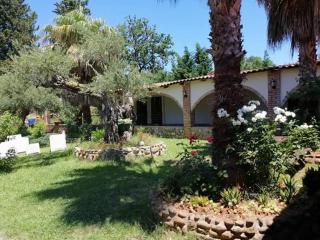 Affittacamere Villa Brazzano - Scalea - 6