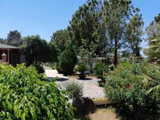 Affittacamere Villa Brazzano - Scalea - 3