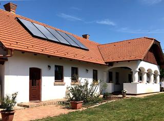 Greenhouse - Szólád - 9