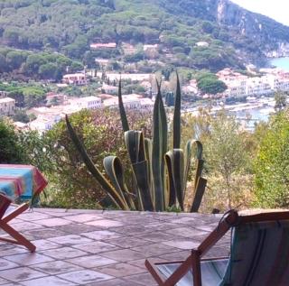 SUITE AGAVE - 6