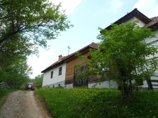 Casa Bunicii - Bran Sohodol - Sohodol - 5